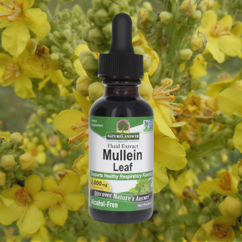 What Is The Best Mullein Extract Nature's Answer, Mullein Leaf Extract Lung Detox | The Life Lifter