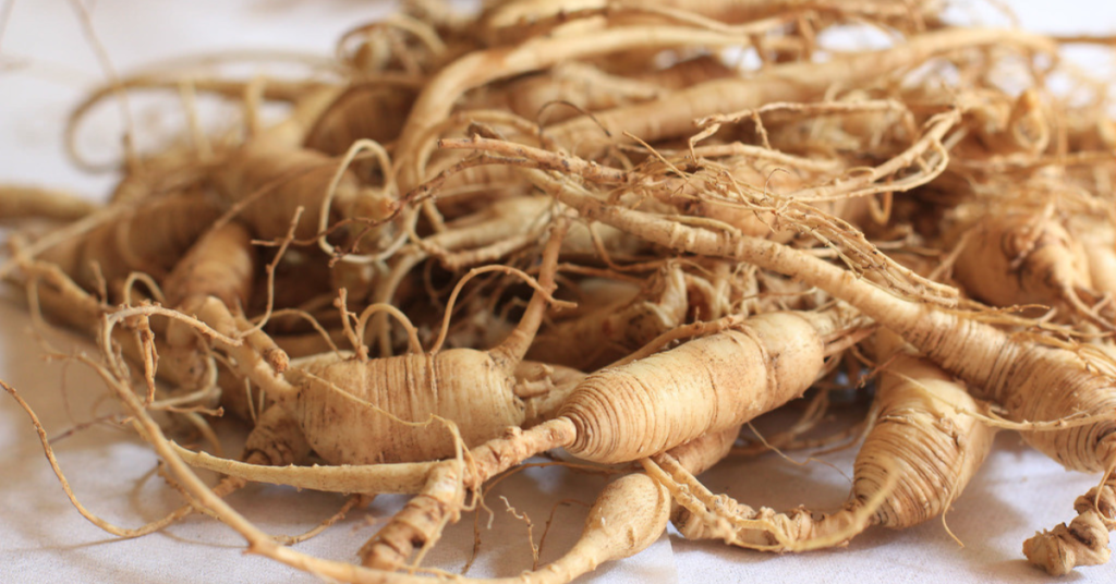 Ginseng